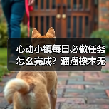 心动小镇每日必做任务怎么完成?溜溜橡木无瑕萤石采集全攻略(图1) 心动小镇每日必做任务怎么完成?溜溜橡木无瑕萤石采集全攻略(图1)