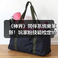 《神界》同伴系统需革新!玩家盼技能检定协作化(图3) 《神界》同伴系统需革新!玩家盼技能检定协作化(图3)
