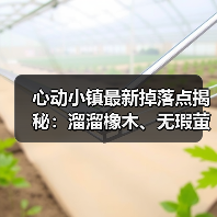 心动小镇最新掉落点揭秘:溜溜橡木、无瑕萤石和水蓝小鸭子位置全解析(图4) 心动小镇最新掉落点揭秘:溜溜橡木、无瑕萤石和水蓝小鸭子位置全解析(图4)