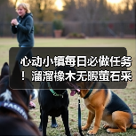 心动小镇每日必做任务!溜溜橡木无暇萤石采集攻略(图3) 心动小镇每日必做任务!溜溜橡木无暇萤石采集攻略(图3)