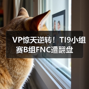 VP惊天逆转!TI9小组赛B组FNC遭翻盘(图3) VP惊天逆转!TI9小组赛B组FNC遭翻盘(图3)