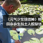 《元气少女缘结神》桃园奈奈生黏土人模型值得入手吗?(图4) 《元气少女缘结神》桃园奈奈生黏土人模型值得入手吗?(图4)