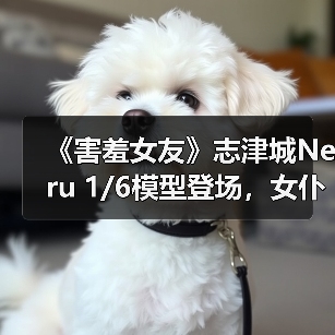 《害羞女友》志津城Neru 1/6模型登场,女仆造型细节惊艳(图3) 《害羞女友》志津城Neru 1/6模型登场,女仆造型细节惊艳(图3)