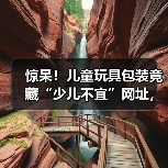 惊呆!儿童玩具包装竟藏“少儿不宜”网址,家长需警惕!(图4) 惊呆!儿童玩具包装竟藏“少儿不宜”网址,家长需警惕!(图4)