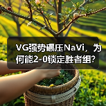 VG强势碾压NaVi,为何能2-0锁定胜者组?(图2) VG强势碾压NaVi,为何能2-0锁定胜者组?(图2)
