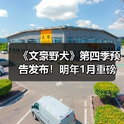 《文豪野犬》第四季预告发布！明年1月重磅来袭（图3）
