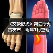 《文豪野犬》第四季预告发布！明年1月重磅来袭（图4）