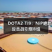 DOTA2 TI9:NiP绝地反击战引爆B组(图2) DOTA2 TI9:NiP绝地反击战引爆B组(图2)