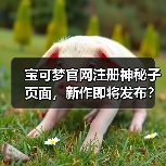 宝可梦官网注册神秘子页面,新作即将发布?(图4) 宝可梦官网注册神秘子页面,新作即将发布?(图4)