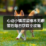 心动小镇溜溜橡木无暇萤石每日获取全攻略(图4) 心动小镇溜溜橡木无暇萤石每日获取全攻略(图4)