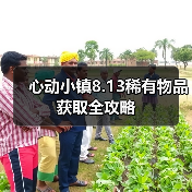 心动小镇8.13稀有物品获取全攻略(图4) 心动小镇8.13稀有物品获取全攻略(图4)