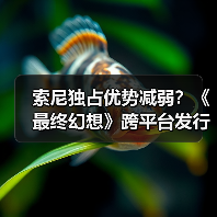 索尼独占优势减弱?《最终幻想》跨平台发行实则双赢(图2) 索尼独占优势减弱?《最终幻想》跨平台发行实则双赢(图2)