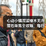 心动小镇溜溜橡木无瑕萤石采集全攻略,每日必做任务解析(图1) 心动小镇溜溜橡木无瑕萤石采集全攻略,每日必做任务解析(图1)