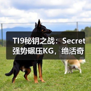 TI9秘钥之战:Secret强势碾压KG,绝活奇兵难撼无敌身姿(图4) TI9秘钥之战:Secret强势碾压KG,绝活奇兵难撼无敌身姿(图4)