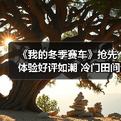《我的冬季赛车》抢先体验好评如潮 冷门田间赛车游戏来袭(图3) 《我的冬季赛车》抢先体验好评如潮 冷门田间赛车游戏来袭(图3)