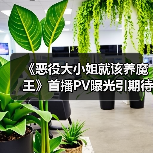 《恶役大小姐就该养魔王》首播PV曝光引期待(图1) 《恶役大小姐就该养魔王》首播PV曝光引期待(图1)