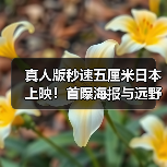 真人版秒速五厘米日本上映!首曝海报与远野贵树外貌曝光(图4) 真人版秒速五厘米日本上映!首曝海报与远野贵树外貌曝光(图4)