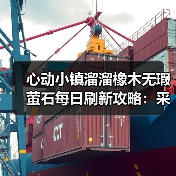 心动小镇溜溜橡木无瑕萤石每日刷新攻略:采集条件及获取方法(图4) 心动小镇溜溜橡木无瑕萤石每日刷新攻略:采集条件及获取方法(图4)