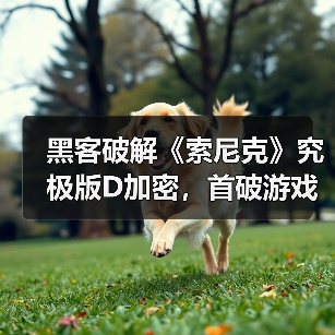 黑客破解《索尼克》究极版D加密,首破游戏防护引争议(图4) 黑客破解《索尼克》究极版D加密,首破游戏防护引争议(图4)