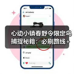 心动小镇春野令限定鸟捕捉秘籍:必刷路线+隐藏区域全攻略(图2) 心动小镇春野令限定鸟捕捉秘籍:必刷路线+隐藏区域全攻略(图2)