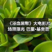 《浴血黑帮》大电影片场照曝光 巴里·基奥恩松弛感爆棚(图3) 《浴血黑帮》大电影片场照曝光 巴里·基奥恩松弛感爆棚(图3)