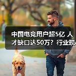 中国电竞用户超5亿 人才缺口达50万?行业现状深度解析(图1) 中国电竞用户超5亿 人才缺口达50万?行业现状深度解析(图1)