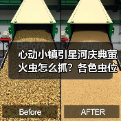 心动小镇引星河庆典萤火虫怎么抓?各色虫位置全揭秘!(图1) 心动小镇引星河庆典萤火虫怎么抓?各色虫位置全揭秘!(图1)