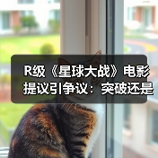 R级《星球大战》电影提议引争议:突破还是颠覆?(图1) R级《星球大战》电影提议引争议:突破还是颠覆?(图1)