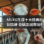 MLXG生涯十大经典时刻回顾 香锅告别赛场引热议(图2) MLXG生涯十大经典时刻回顾 香锅告别赛场引热议(图2)