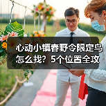 心动小镇春野令限定鸟怎么找?5个位置全攻略(图2) 心动小镇春野令限定鸟怎么找?5个位置全攻略(图2)