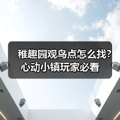 稚趣园观鸟点怎么找？心动小镇玩家必看（图2）