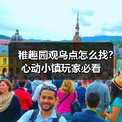 稚趣园观鸟点怎么找？心动小镇玩家必看（图4）