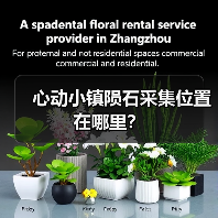 心动小镇陨石采集位置在哪里?(图3) 心动小镇陨石采集位置在哪里?(图3)