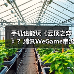 手机也能玩《云顶之弈》?腾讯WeGame串流功能预约开启(图3) 手机也能玩《云顶之弈》?腾讯WeGame串流功能预约开启(图3)
