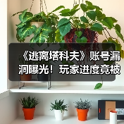 《逃离塔科夫》账号漏洞曝光!玩家进度竟被一键清空?(图1) 《逃离塔科夫》账号漏洞曝光!玩家进度竟被一键清空?(图1)