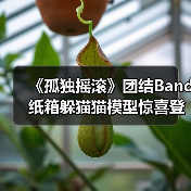 《孤独摇滚》团结Band纸箱躲猫猫模型惊喜登场！可爱收藏必入（图3）