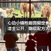 心动小镇稚趣园限定食谱全公开,隐藏配方大揭秘(图2) 心动小镇稚趣园限定食谱全公开,隐藏配方大揭秘(图2)