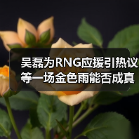 吴磊为RNG应援引热议 等一场金色雨能否成真?(图4) 吴磊为RNG应援引热议 等一场金色雨能否成真?(图4)