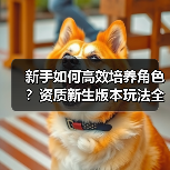 新手如何高效培养角色?资质新生版本玩法全解析(图3) 新手如何高效培养角色?资质新生版本玩法全解析(图3)