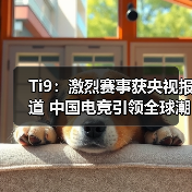Ti9:激烈赛事获央视报道 中国电竞引领全球潮流(图1) Ti9:激烈赛事获央视报道 中国电竞引领全球潮流(图1)