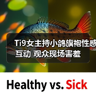 Ti9女主持小鸽旗袍性感互动 观众现场害羞(图2) Ti9女主持小鸽旗袍性感互动 观众现场害羞(图2)