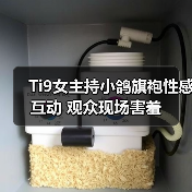 Ti9女主持小鸽旗袍性感互动 观众现场害羞(图4) Ti9女主持小鸽旗袍性感互动 观众现场害羞(图4)