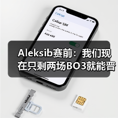 Aleksib赛前:我们现在只剩两场BO3就能晋级,没有犯错余地(图4) Aleksib赛前:我们现在只剩两场BO3就能晋级,没有犯错余地(图4)