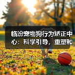 临汾宠物狗行为矫正中心:科学引导,重塑和谐共生(图1) 临汾宠物狗行为矫正中心:科学引导,重塑和谐共生(图1)
