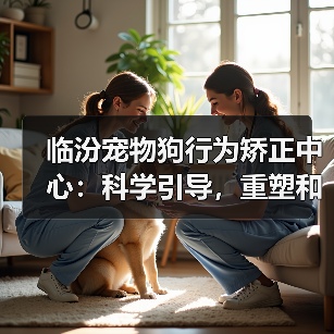 临汾宠物狗行为矫正中心:科学引导,重塑和谐共生(图3) 临汾宠物狗行为矫正中心:科学引导,重塑和谐共生(图3)