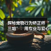 探秘宠物行为矫正师“三姐”:用专业与爱心重塑人宠和谐关系(图4) 探秘宠物行为矫正师“三姐”:用专业与爱心重塑人宠和谐关系(图4)