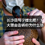 长沙县写字楼出租?3大理由告诉你为什么值得考虑