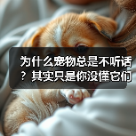 为什么宠物总是不听话?其实只是你没懂它们的心理(图3) 为什么宠物总是不听话?其实只是你没懂它们的心理(图3)