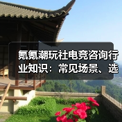 氪氪潮玩社电竞咨询行业知识:常见场景、选择要点与注意事项(图1) 氪氪潮玩社电竞咨询行业知识:常见场景、选择要点与注意事项(图1)