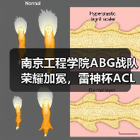 南京工程学院ABG战队荣耀加冕，雷神杯ACL高校精英赛南区总决赛圆满收官！（图1）